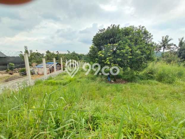 Tanah Dijual Lokasi Ranca Bungur, Bogor Luas 2500m2 Legalitas Aman Tanah Dijual Lokasi Ranca Bungur, Bogor Luas 2500m2 Legalitas Aman