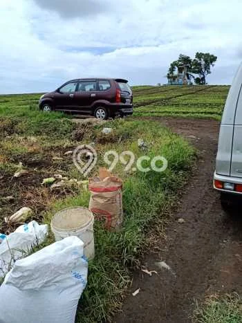 Tanah Investasi Dijual di Malang Punya Luas 150000m2 Tanah Investasi Dijual di Malang Punya Luas 150000m2