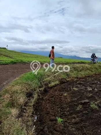Tanah Investasi Dijual di Malang Punya Luas 150000m2 Tanah Investasi Dijual di Malang Punya Luas 150000m2