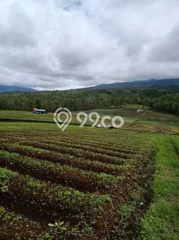 Tanah Investasi Dijual di Malang Punya Luas 150000m2 Tanah Investasi Dijual di Malang Punya Luas 150000m2