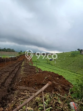 Tanah Investasi Dijual di Malang Punya Luas 150000m2 Tanah Investasi Dijual di Malang Punya Luas 150000m2