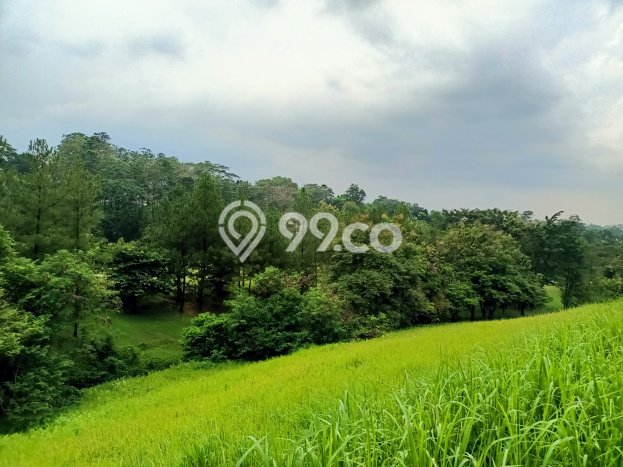 Dijual Tanah Lokasi Sentul City, Bogor Seluas 1948m2 Dijual Tanah Lokasi Sentul City, Bogor Seluas 1948m2