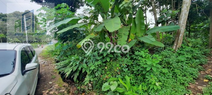 Tanah Kavling untuk Dijual di Mojosongo Boyolali 1100m2 Tanah Kavling untuk Dijual di Mojosongo Boyolali 1100m2