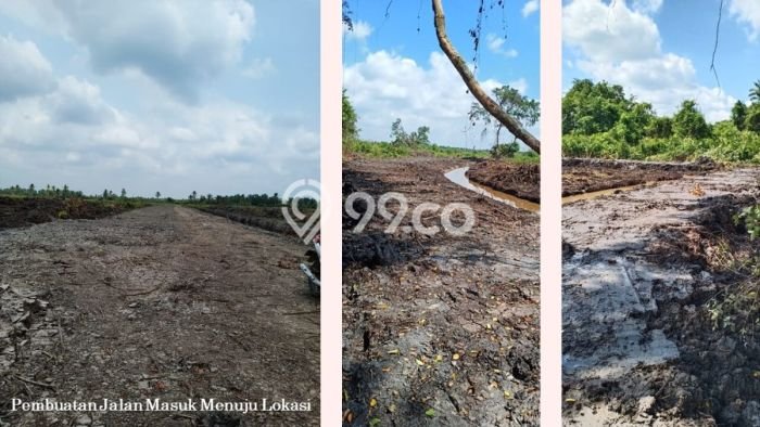 Kavling Tanah di Talang Kelapa Dijual Luas 500000m2 Legalitas SHM Kavling Tanah di Talang Kelapa Dijual Luas 500000m2 Legalitas SHM