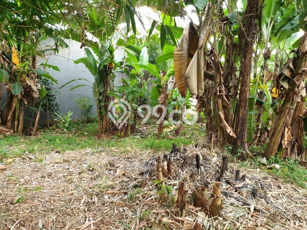 Kavling Tanah Dijual di Pondok Aren, Tangerang Selatan, Luas 271m2 Area Strategis Kavling Tanah Dijual di Pondok Aren, Tangerang Selatan, Luas 271m2 Area Strategis