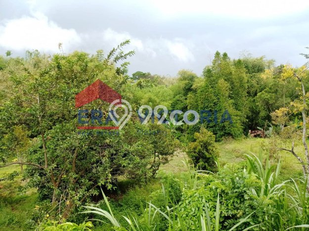 Dijual Tanah Lokasi Batu, Malang Seluas 7115m2 Dijual Tanah Lokasi Batu, Malang Seluas 7115m2