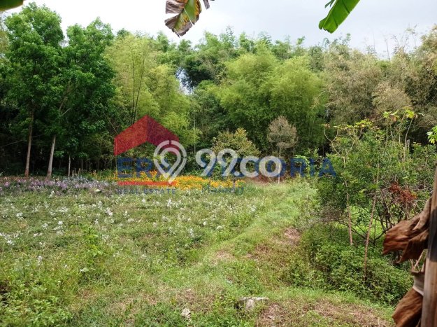 Dijual Tanah Lokasi Batu, Malang Seluas 7115m2 Dijual Tanah Lokasi Batu, Malang Seluas 7115m2