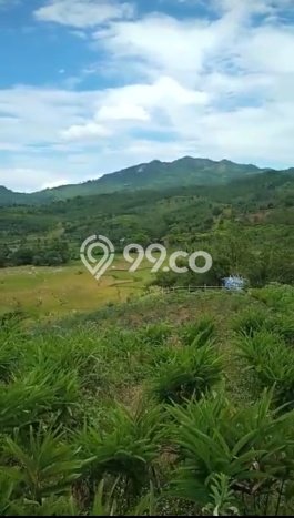 Tanah di Sukamakmur, Bogor Luas 10000m2 Dijual Segera Tanah di Sukamakmur, Bogor Luas 10000m2 Dijual Segera