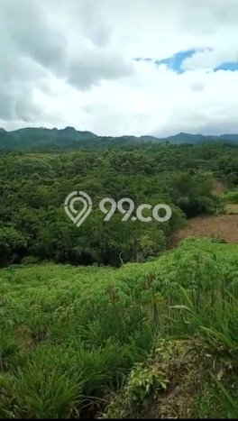 Tanah di Sukamakmur, Bogor Luas 10000m2 Dijual Segera Tanah di Sukamakmur, Bogor Luas 10000m2 Dijual Segera