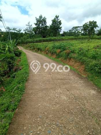Tanah di Sukamakmur, Bogor Luas 10000m2 Dijual Segera Tanah di Sukamakmur, Bogor Luas 10000m2 Dijual Segera