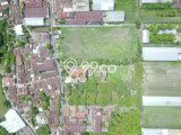 Tanah Dijual Lokasi Ceper, Klaten dengan Luas Tanah 5025m2 dan Status SHM Tanah Dijual Lokasi Ceper, Klaten dengan Luas Tanah 5025m2 dan Status SHM
