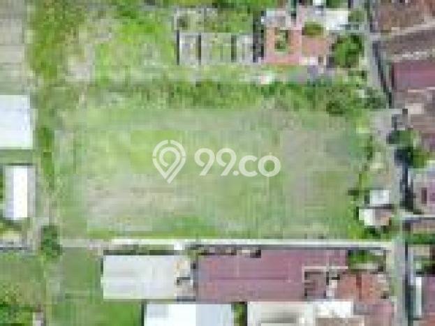 Tanah Dijual Lokasi Ceper, Klaten dengan Luas Tanah 5025m2 dan Status SHM Tanah Dijual Lokasi Ceper, Klaten dengan Luas Tanah 5025m2 dan Status SHM