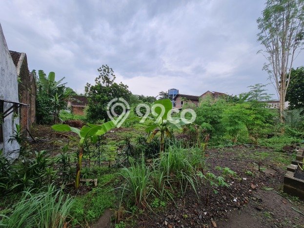 Kavling Tanah di Serengan Dijual Luas 1679m2 Legalitas SHM Kavling Tanah di Serengan Dijual Luas 1679m2 Legalitas SHM