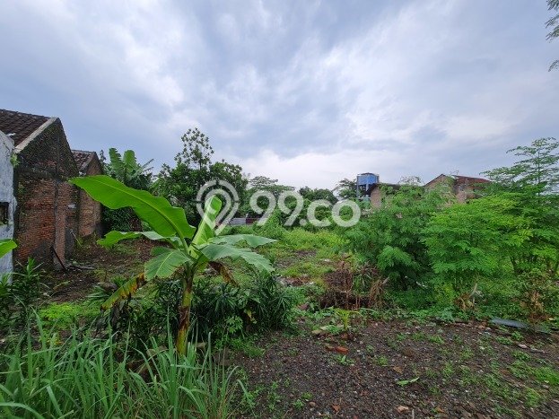 Kavling Tanah di Serengan Dijual Luas 1679m2 Legalitas SHM Kavling Tanah di Serengan Dijual Luas 1679m2 Legalitas SHM