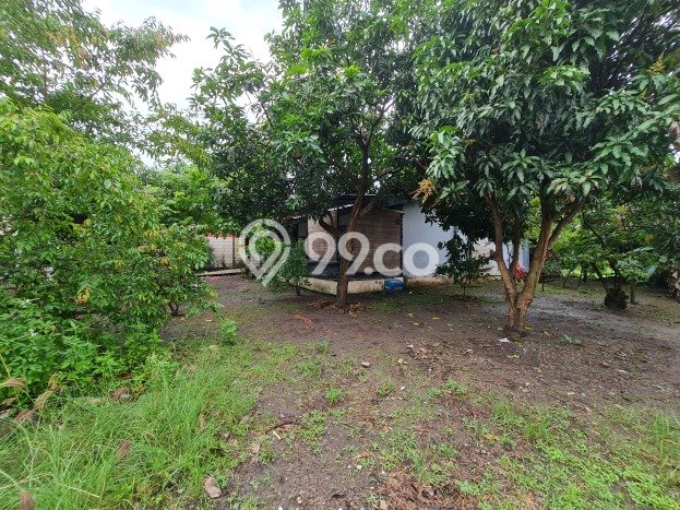 Kavling Tanah di Serengan Dijual Luas 1679m2 Legalitas SHM Kavling Tanah di Serengan Dijual Luas 1679m2 Legalitas SHM