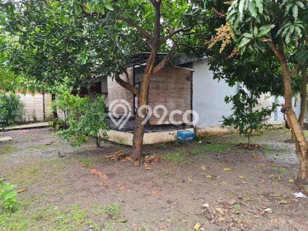 Kavling Tanah di Serengan Dijual Luas 1679m2 Legalitas SHM Kavling Tanah di Serengan Dijual Luas 1679m2 Legalitas SHM