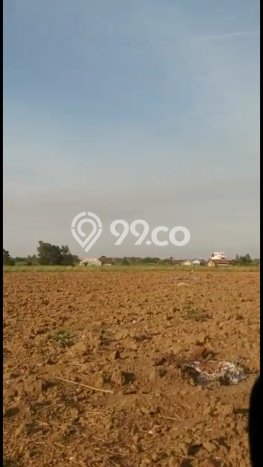 Lahan Kosong Dijual di Terbanggi Besar, Lampung Tengah, Luas 100000m2 Area Strategis Lahan Kosong Dijual di Terbanggi Besar, Lampung Tengah, Luas 100000m2 Area Strategis