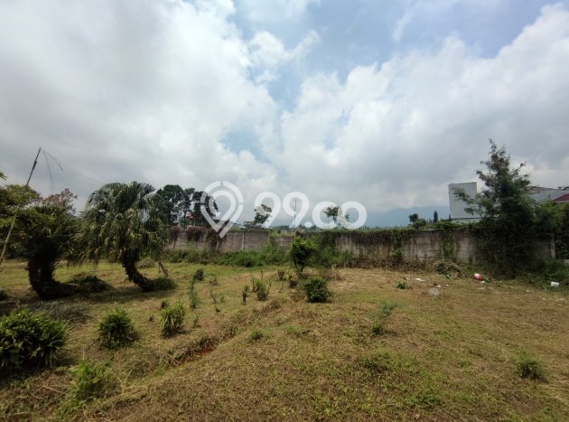 Tanah untuk Dijual di Cipanas Cianjur Luas 3963m2 Tanah untuk Dijual di Cipanas Cianjur Luas 3963m2