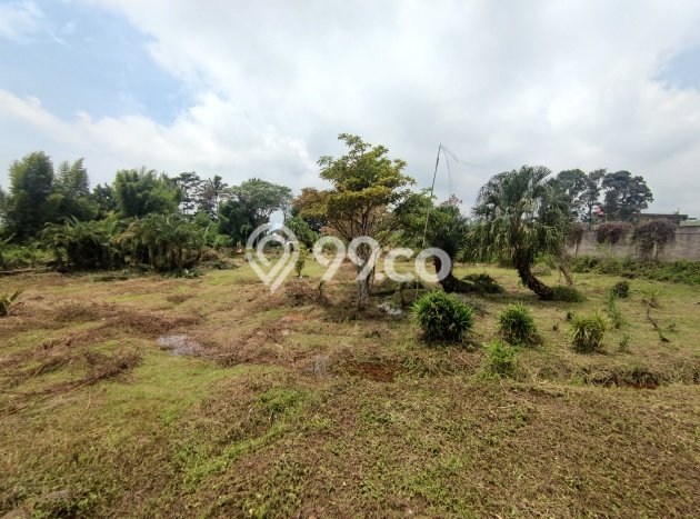 Tanah untuk Dijual di Cipanas Cianjur Luas 3963m2 Tanah untuk Dijual di Cipanas Cianjur Luas 3963m2