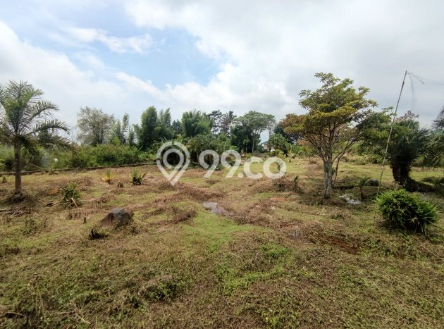 Tanah untuk Dijual di Cipanas Cianjur Luas 3963m2 Tanah untuk Dijual di Cipanas Cianjur Luas 3963m2