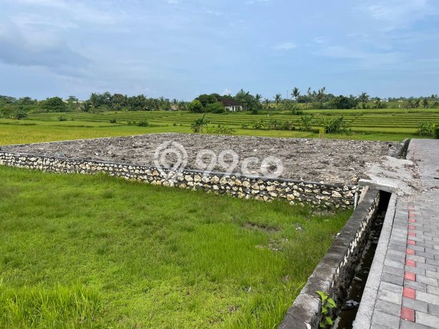 Tanah Dijual di Badung Seluas 300m2 Strategis Tanah Dijual di Badung Seluas 300m2 Strategis