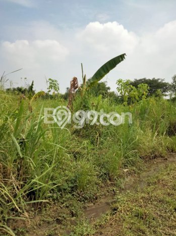 Tanah Kosong Dijual di Surabaya dengan Area 1009m2 Tanah Kosong Dijual di Surabaya dengan Area 1009m2