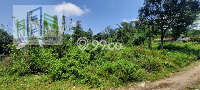 Tanah Dijual Lokasi Teras, Boyolali Luas 2025m2 Legalitas Aman Tanah Dijual Lokasi Teras, Boyolali Luas 2025m2 Legalitas Aman