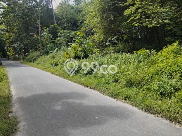Kavling Tanah Dijual di Gamping Sleman Spesifikasi 200m2 Kavling Tanah Dijual di Gamping Sleman Spesifikasi 200m2