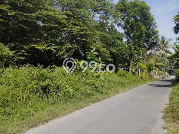 Kavling Tanah Dijual di Gamping Sleman Spesifikasi 200m2 Kavling Tanah Dijual di Gamping Sleman Spesifikasi 200m2