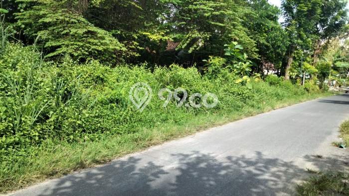 Kavling Tanah Dijual di Gamping Sleman Spesifikasi 200m2 Kavling Tanah Dijual di Gamping Sleman Spesifikasi 200m2