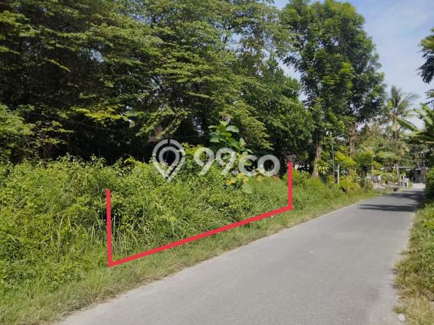Kavling Tanah Dijual di Gamping Sleman Spesifikasi 200m2 Kavling Tanah Dijual di Gamping Sleman Spesifikasi 200m2