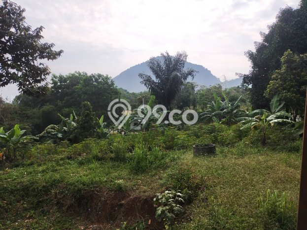 Tanah Dijual Lokasi Babakan Madang, Bogor Luas 1000m2 Legalitas Aman Tanah Dijual Lokasi Babakan Madang, Bogor Luas 1000m2 Legalitas Aman