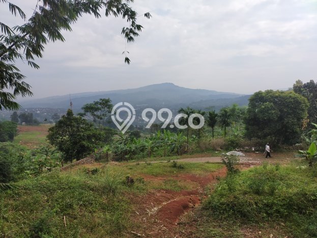 Tanah Dijual Lokasi Babakan Madang, Bogor Luas 1000m2 Legalitas Aman Tanah Dijual Lokasi Babakan Madang, Bogor Luas 1000m2 Legalitas Aman