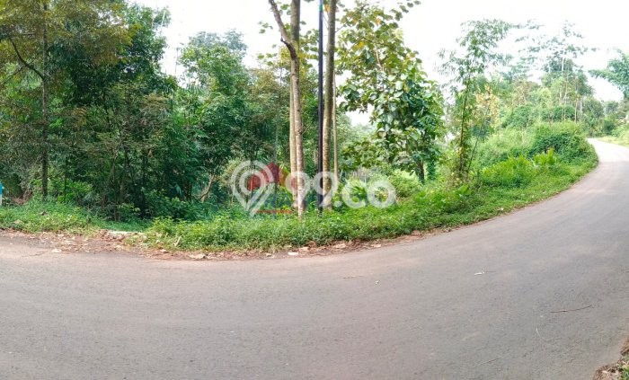 Lahan Dijual Lokasi Purwosari, Pasuruan dengan Luas Tanah 5770m2 dan Status SHM Lahan Dijual Lokasi Purwosari, Pasuruan dengan Luas Tanah 5770m2 dan Status SHM
