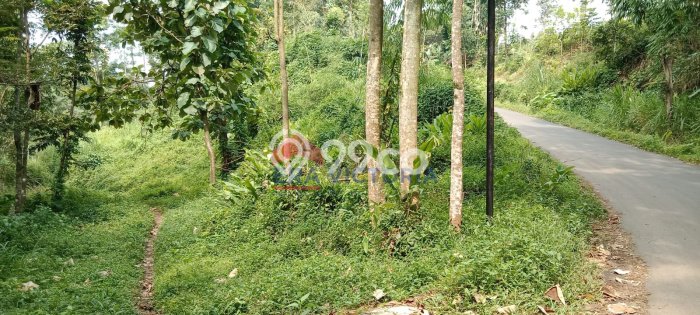 Lahan Dijual Lokasi Purwosari, Pasuruan dengan Luas Tanah 5770m2 dan Status SHM Lahan Dijual Lokasi Purwosari, Pasuruan dengan Luas Tanah 5770m2 dan Status SHM