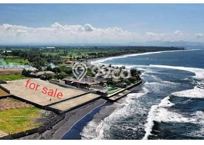Tanah Siap Bangun Dijual di Gianyar Punya Luas 7900m2 Tanah Siap Bangun Dijual di Gianyar Punya Luas 7900m2