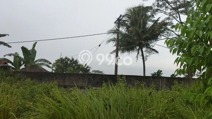 Dijual Tanah di Walantaka Serang Luas 100000m2 SHM Dijual Tanah di Walantaka Serang Luas 100000m2 SHM