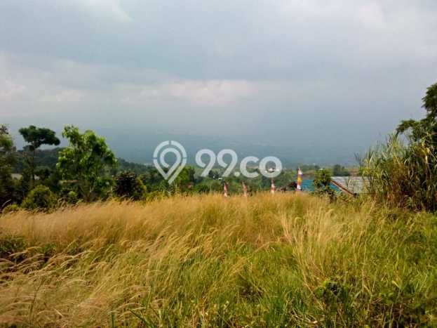 Kavling Tanah di Cijeruk Dijual Luas 2000m2 Legalitas - Kavling Tanah di Cijeruk Dijual Luas 2000m2 Legalitas -