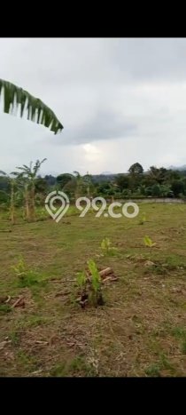 Lahan Dijual Lokasi Caringin, Bogor dengan Luas Tanah 2000m2 dan Status SHM Lahan Dijual Lokasi Caringin, Bogor dengan Luas Tanah 2000m2 dan Status SHM