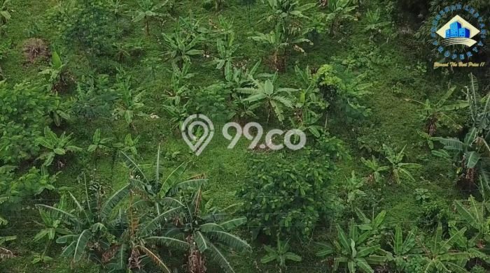 Tanah Strategis Dijual di Rangkasbitung Lebak 13048m2 Tanah Strategis Dijual di Rangkasbitung Lebak 13048m2