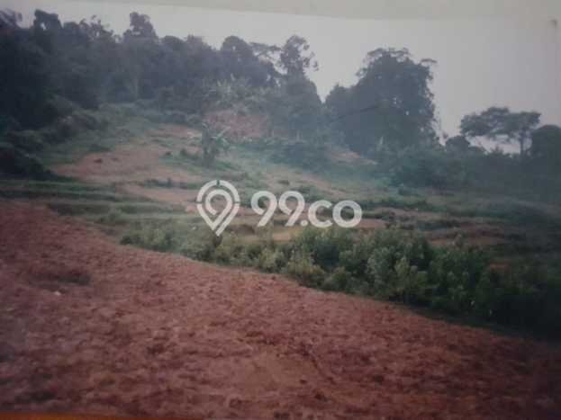Kavling Tanah di Cariu Dijual Luas 12000m2 Legalitas SHM Kavling Tanah di Cariu Dijual Luas 12000m2 Legalitas SHM