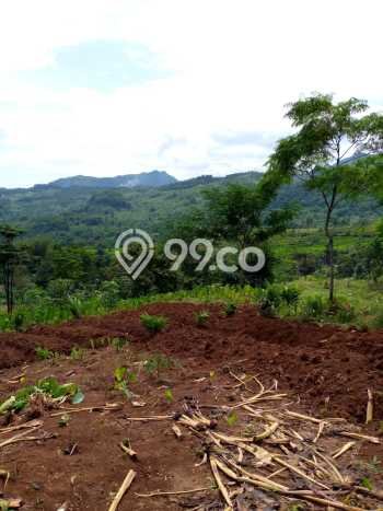 Kavling Tanah di Cariu Dijual Luas 12000m2 Legalitas SHM Kavling Tanah di Cariu Dijual Luas 12000m2 Legalitas SHM
