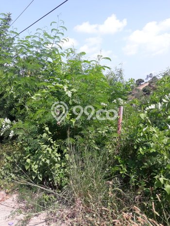 Dijual Tanah Lokasi Labuan Bajo, Manggarai Barat Seluas 505m2 Dijual Tanah Lokasi Labuan Bajo, Manggarai Barat Seluas 505m2