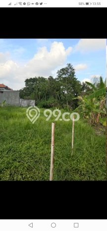 Tanah Siap Bangun Dijual di Badung Punya Luas 1200m2 Tanah Siap Bangun Dijual di Badung Punya Luas 1200m2
