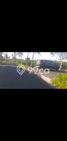 Lahan Dijual Lokasi Ubud, Gianyar dengan Luas Tanah 3100m2 dan Status SHM Lahan Dijual Lokasi Ubud, Gianyar dengan Luas Tanah 3100m2 dan Status SHM