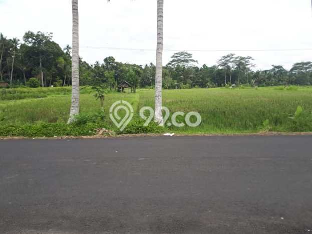 Tanah Dijual Lokasi Mengwi, Badung Luas 3925m2 Legalitas Aman Tanah Dijual Lokasi Mengwi, Badung Luas 3925m2 Legalitas Aman
