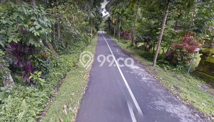 Tanah Dijual Lokasi Mengwi, Badung Luas 3925m2 Legalitas Aman Tanah Dijual Lokasi Mengwi, Badung Luas 3925m2 Legalitas Aman