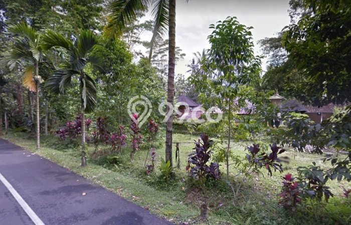Tanah Dijual Lokasi Mengwi, Badung Luas 3925m2 Legalitas Aman Tanah Dijual Lokasi Mengwi, Badung Luas 3925m2 Legalitas Aman