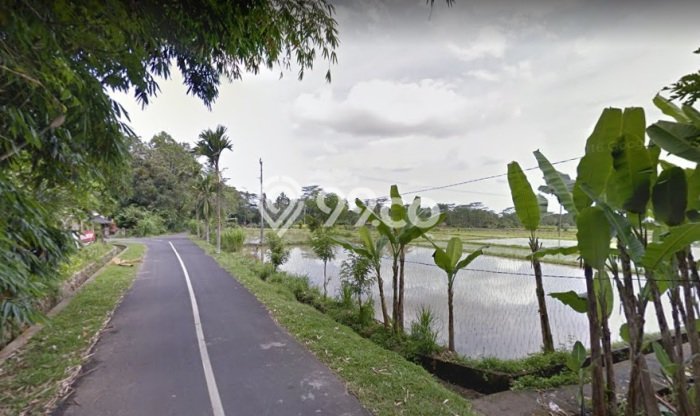 Tanah Dijual Lokasi Mengwi, Badung Luas 3925m2 Legalitas Aman Tanah Dijual Lokasi Mengwi, Badung Luas 3925m2 Legalitas Aman