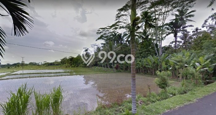 Tanah Dijual Lokasi Mengwi, Badung Luas 3925m2 Legalitas Aman Tanah Dijual Lokasi Mengwi, Badung Luas 3925m2 Legalitas Aman